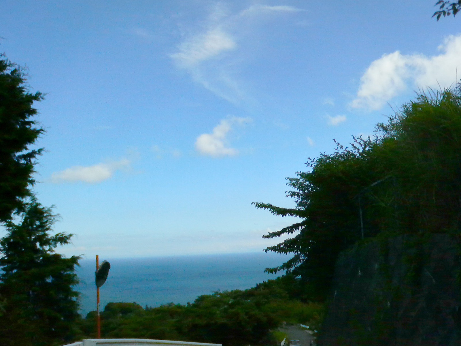 丘の上から望む湘南の海